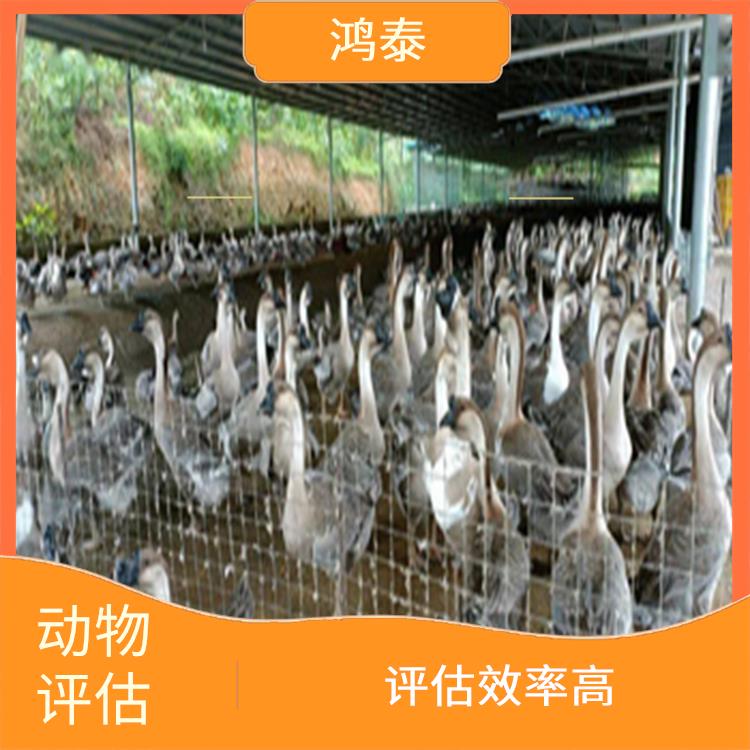 重庆市母猪评估 报告严谨 评估业务范围广