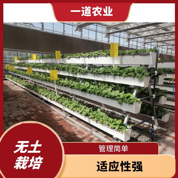 无土栽培设计 武汉无土栽培温室厂家 易于管理和控制