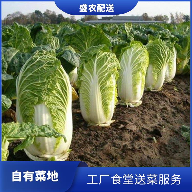 仲恺饭堂食材配送服务公司 大型蔬菜批发公司 提供一站式平价蔬菜配送服务