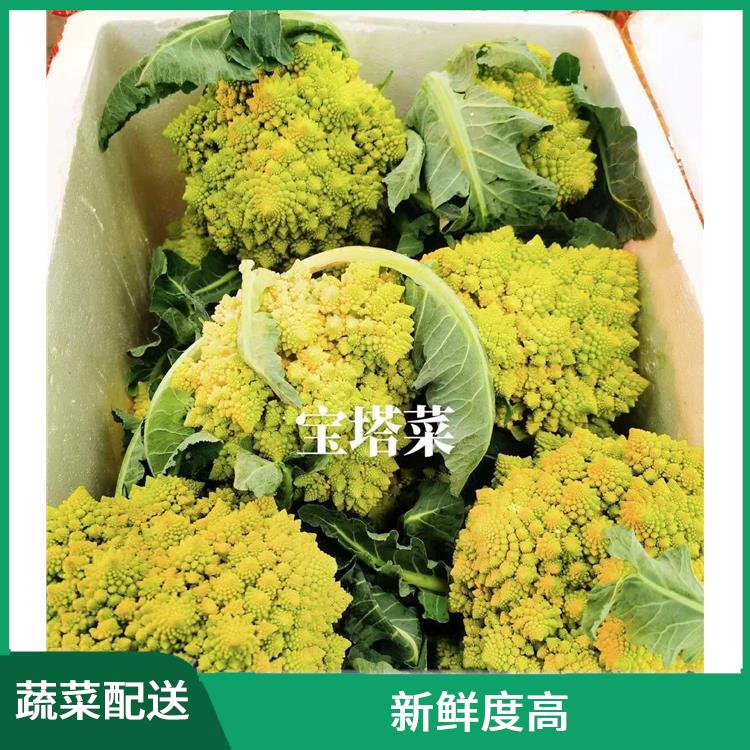 深圳盐田蔬菜配送平台电话 新鲜度高 能满足不同菜品的需求