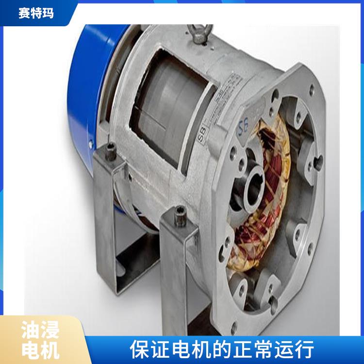 上海油浸电机厂家 负载能力强 减少电机的振动和噪声