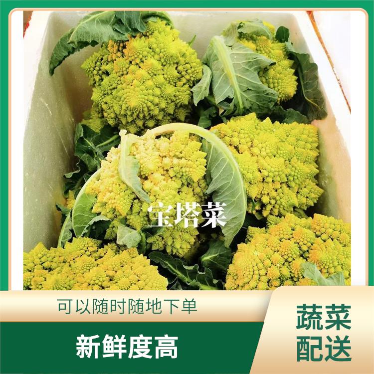 南城蔬菜配送价格 丰富多样 时效性较强