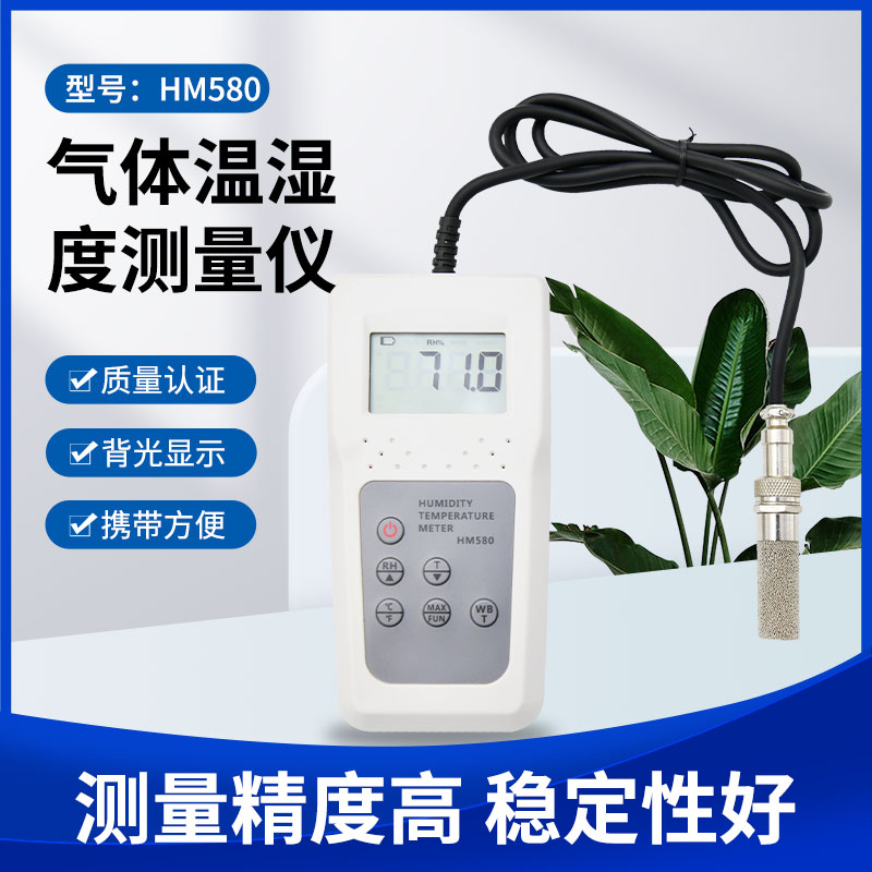 气体温湿度检测仪HM580 空气水分测定仪