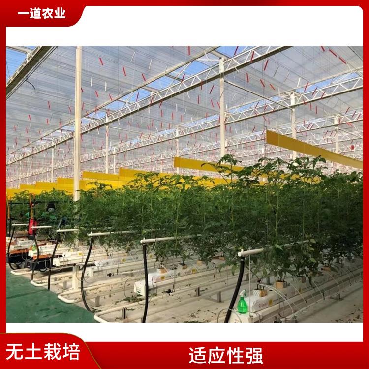 长春无土栽培设计厂家 无土栽培施工