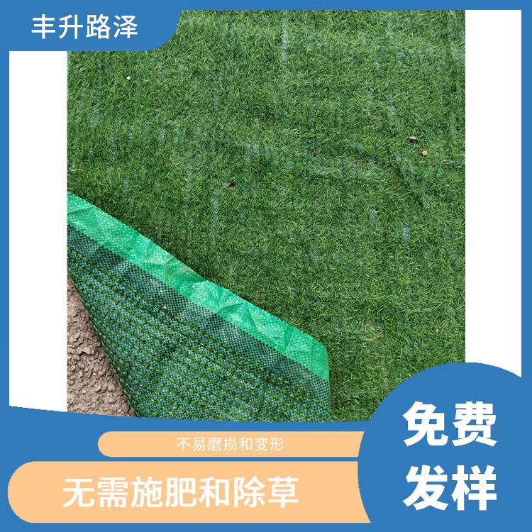 云浮假草坪规格 *施肥和除草 针均匀轻便