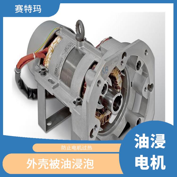 上海油浸电机价格 外壳被油浸泡 保证电机的正常运行