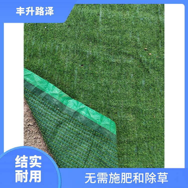 广州假草坪多少钱一平 *施肥和除草 针均匀轻便