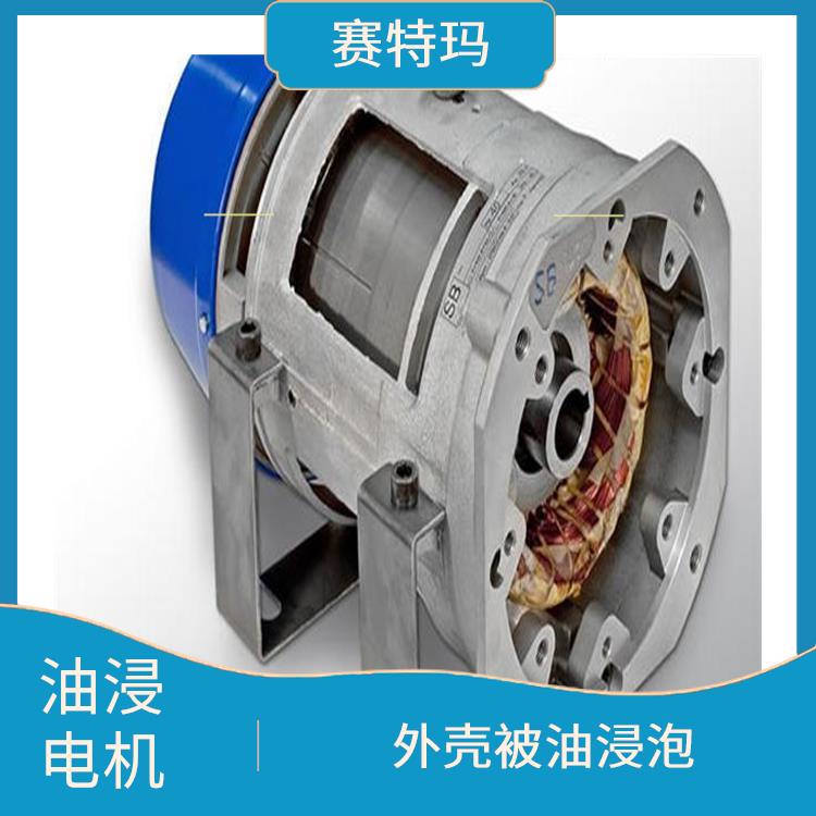 上海油浸电机价格 防止电机过热 减少电机的振动和噪声