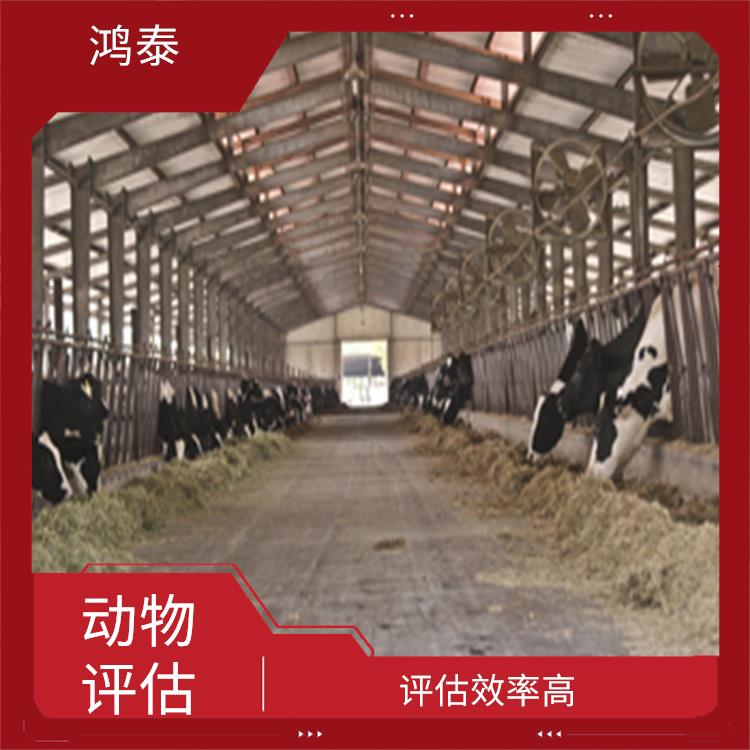 济南市牛舍评估 评估效率高 评估流程标准化