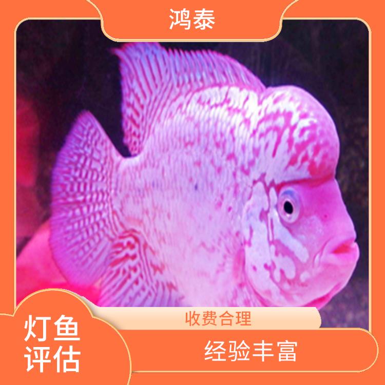 荆州市草金鱼评估 经验丰富 评估流程标准化