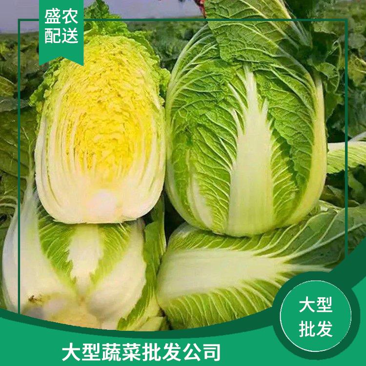 杨村镇饭堂食材配送服务公司 配送蔬菜服务公司 提供一站式平价蔬菜配送服务
