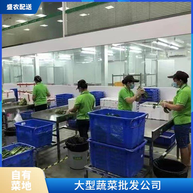 东莞东城街道饭堂食材配送服务公司 配送蔬菜服务公司 大型批发市场提供平价送菜服务