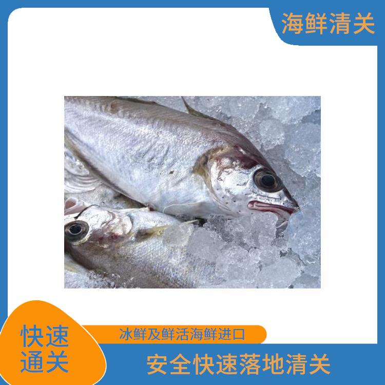 水产品进口贸易代理清关公司 一般贸易进口清关 活龙虾进口代理
