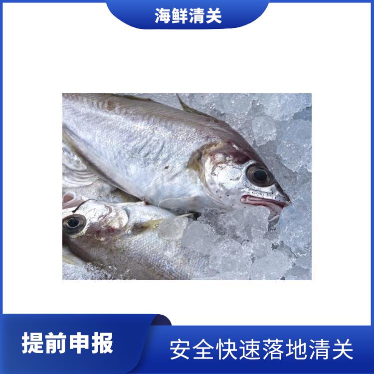 中国从厄瓜多尔进口虾 冰鲜水产品机场快速通关 活龙虾进口代理