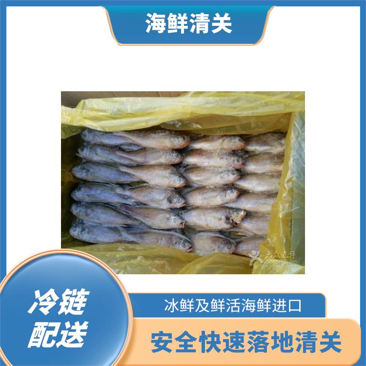 水产品进口贸易代理清关公司 海鲜清关供应链服务 泰国龙虾进口代理
