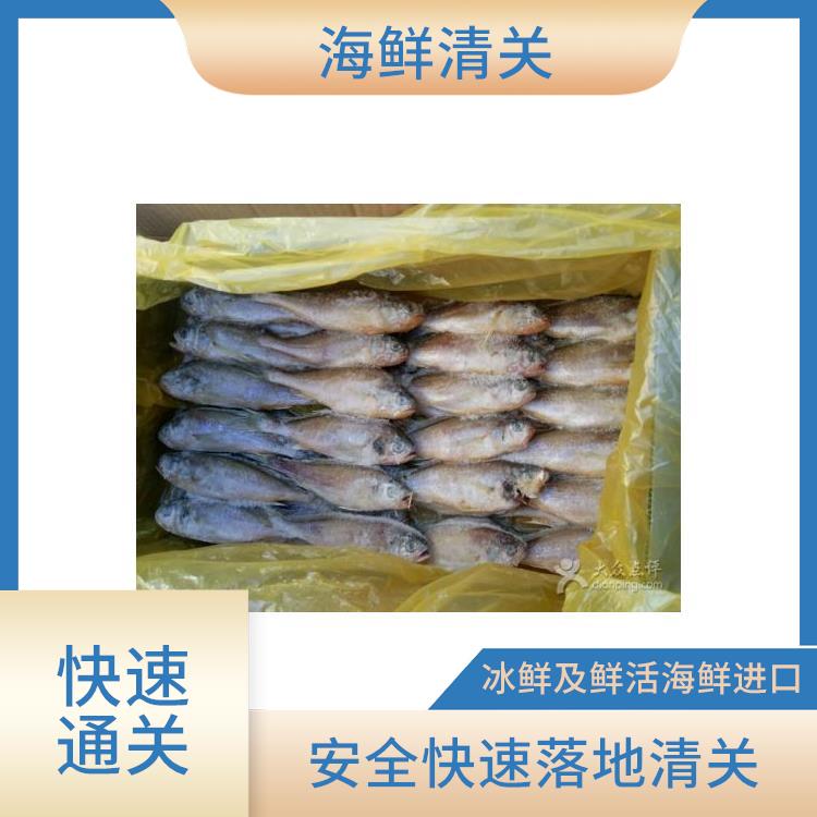 活海鲜进口审批手续 海鲜清关供应链服务 活龙虾进口代理