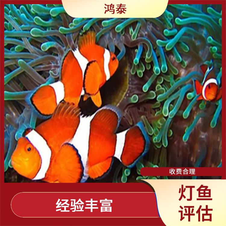 荆州市草金鱼评估 经验丰富 多年评估经验