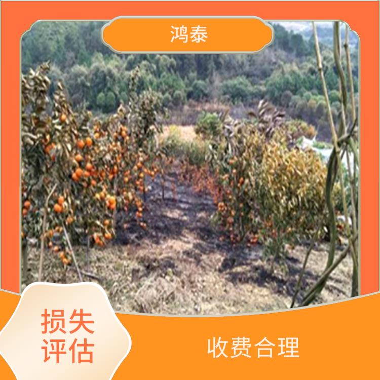 武汉市林木火灾损失评估 一对一服务 多年评估经验