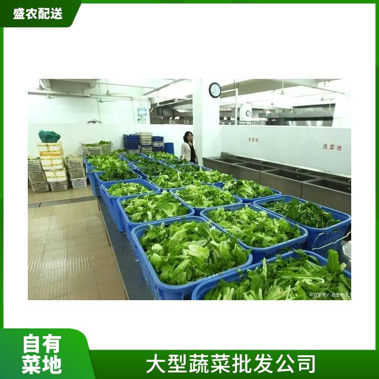 观音阁饭堂食材配送服务公司 配送蔬菜服务公司 大型批发市场提供平价送菜服务