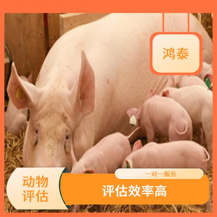 南京市奶牛评估 一对一服务 可靠性较高
