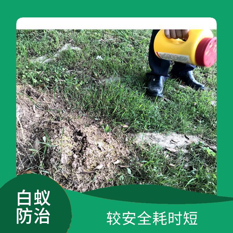 消杀记录表 禅城区张槎街道白蚁防治价格
