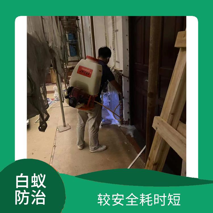 三水区大塘镇白蚁防治公司 上门服务 确定方案