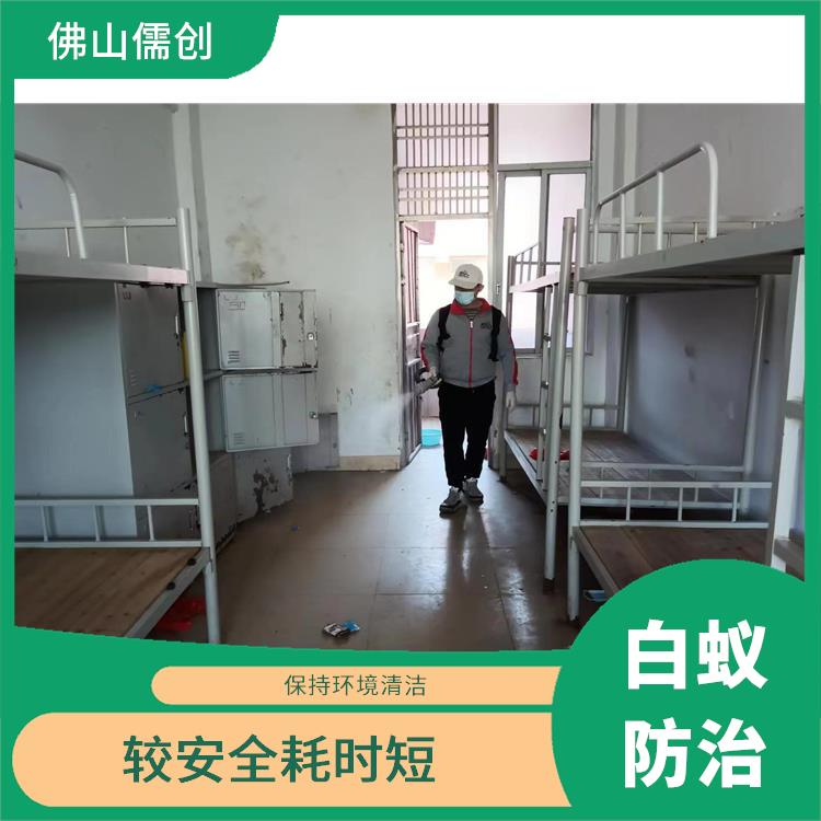 台山白蚁预防公司电话 上门服务 确定方案