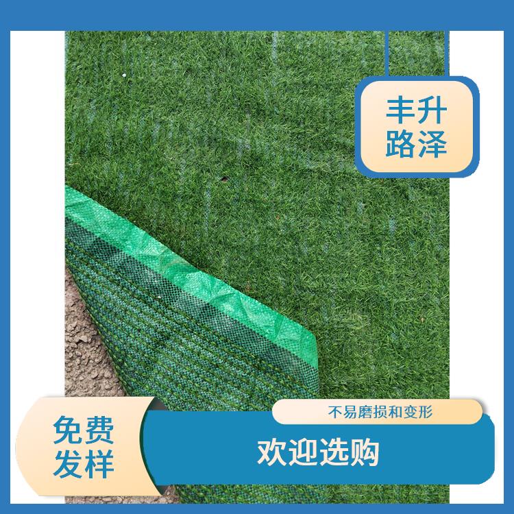 惠州假草坪批发 不需要频繁修剪和修整 免费发样
