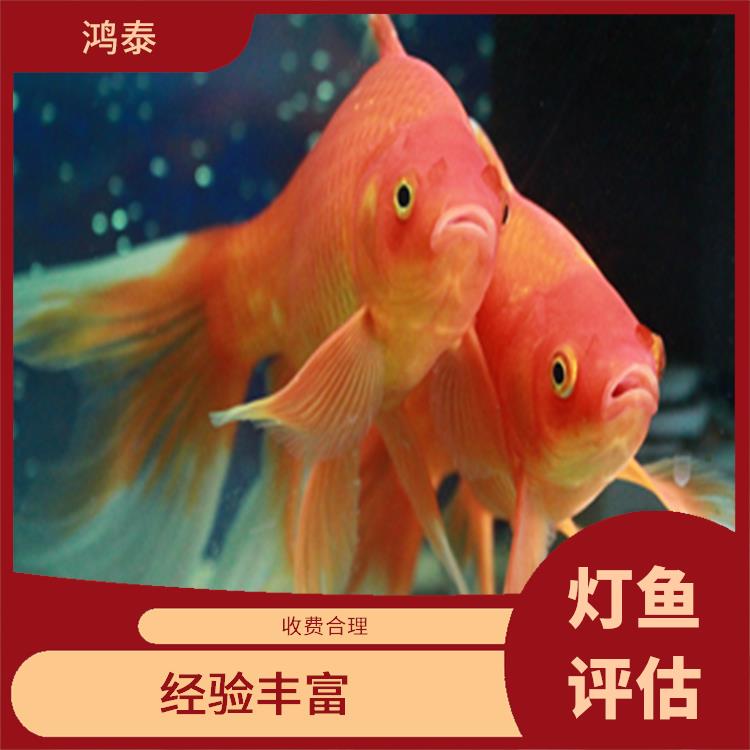 武汉市热带鱼评估 一对一服务 评估业务范围广