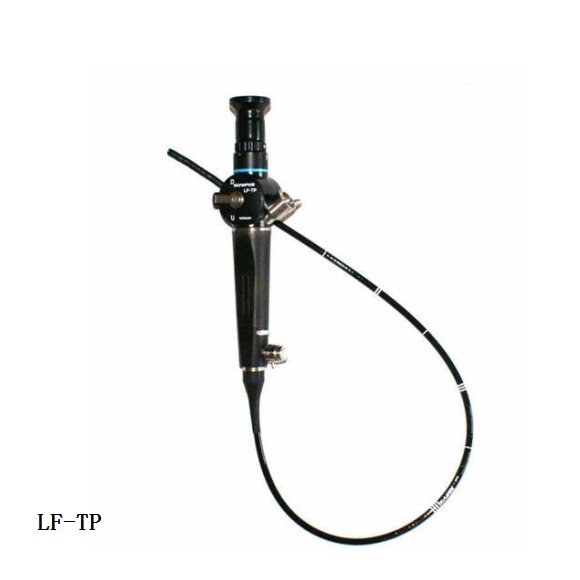 奥林巴斯纤维气管插管气管镜  LF-TP 用于床边、手术室 ICU 等