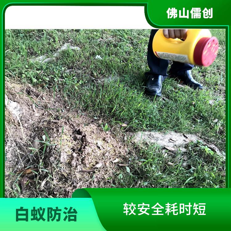 蓬江区白蚁预防 白蚁工程 保持环境清洁