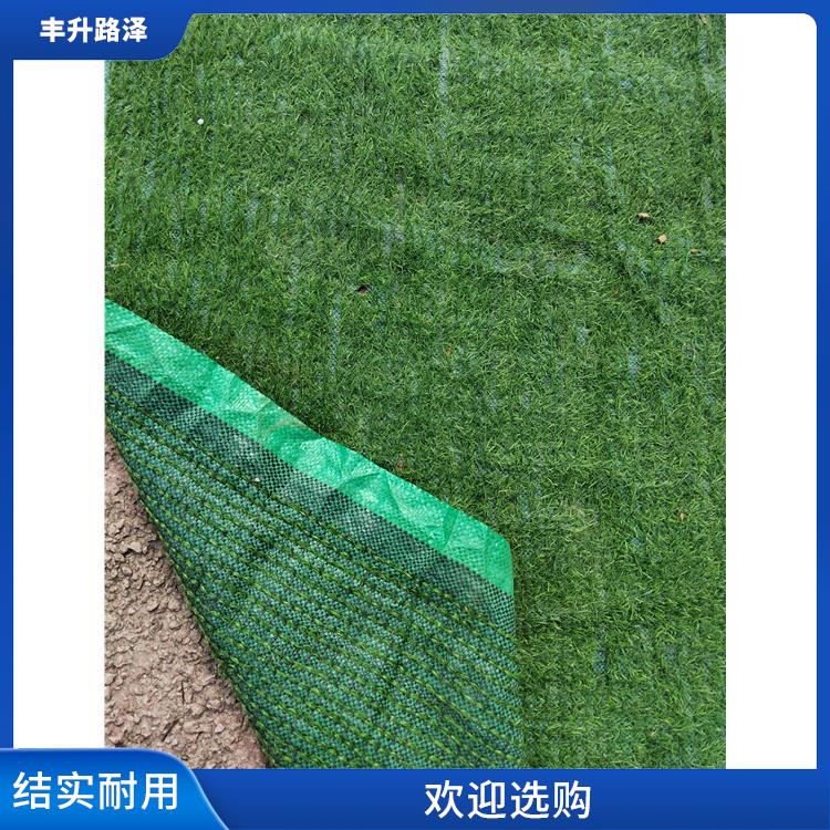 惠州假草坪规格 可以长时间保持外观 针均匀轻便