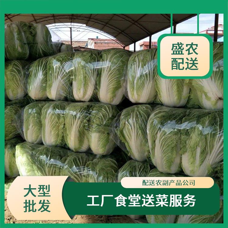 东莞南城街道饭堂食材配送服务公司 大型蔬菜批发公司 提供一站式平价蔬菜配送服务