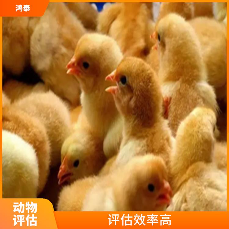 南京市鸭仔评估 收费合理 可靠性较高