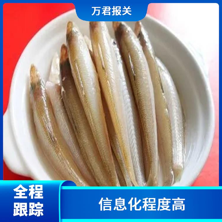 广州大西洋鲑进口清关公司 信息化程度高 办事效率高