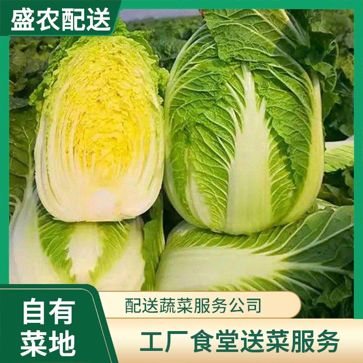 杨村镇饭堂食材配送服务公司 工厂食堂送菜服务 大型批发市场提供平价送菜服务
