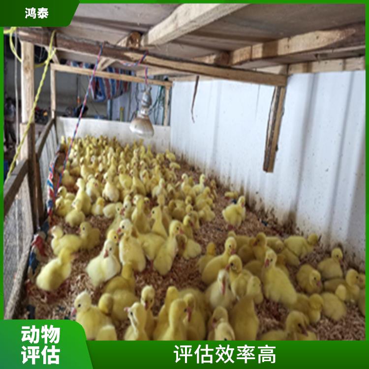 南京市鸭场评估 一对一服务 多年评估经验