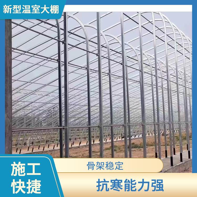 延庆区新型农业温室大棚施工 承载力大 阳光温室大棚