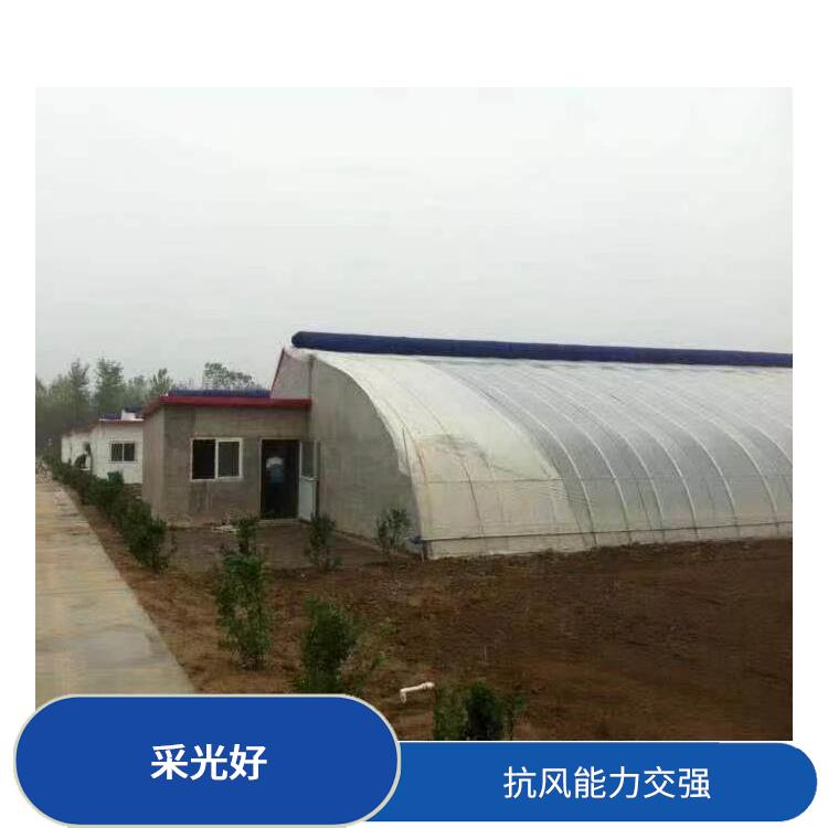 沧州温室大棚设计 抗风能力强 玻璃温室大棚