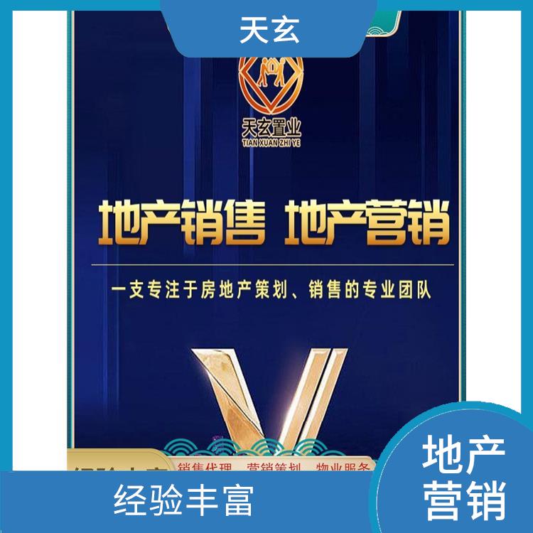 札达县房地产营销策划公司 有丰富的操盘经验 天玄置业