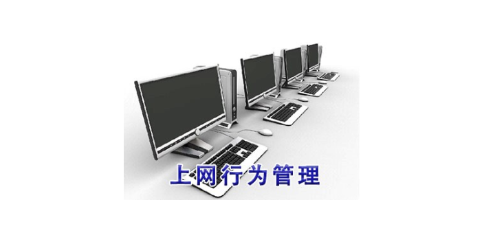 上海操作简单适用性强上网行为管控高安全性 欢迎咨询 上海迅软信息科技供应