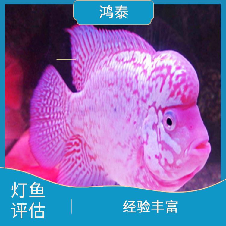 荆州市鹦鹉鱼评估 收费合理 全程标准化操作