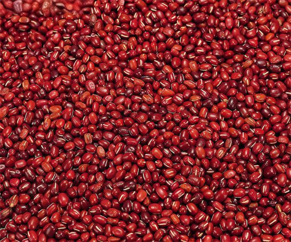 红豆营养成分检测 清远市红豆铅含量检测中心