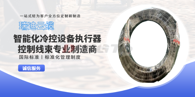 上海智能工业设备线束参数 信息推荐 上海瑞迪云缆供应