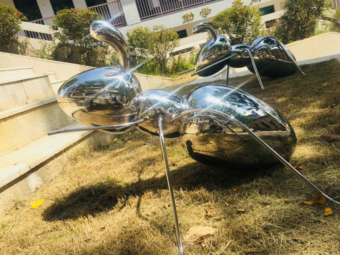 不锈钢蚂蚁雕塑园林景观小品动物雕塑