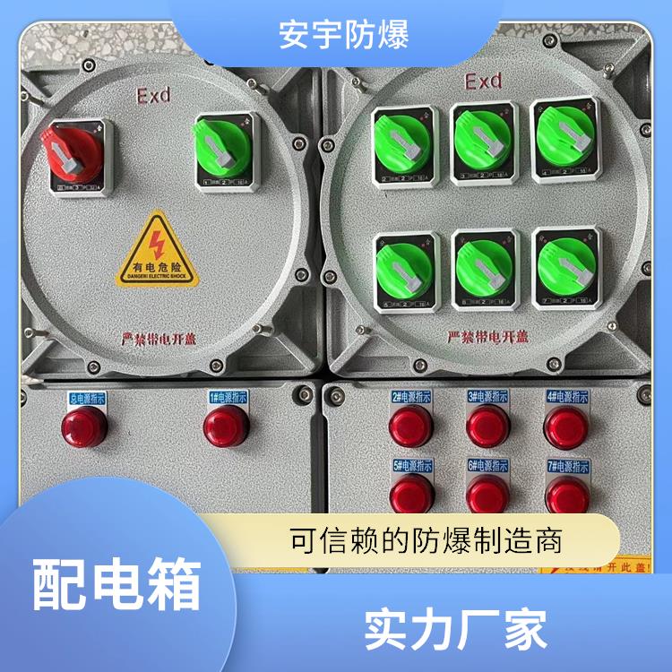 IICT6防爆配电箱 长沙BXMD-12KXX防爆配电箱