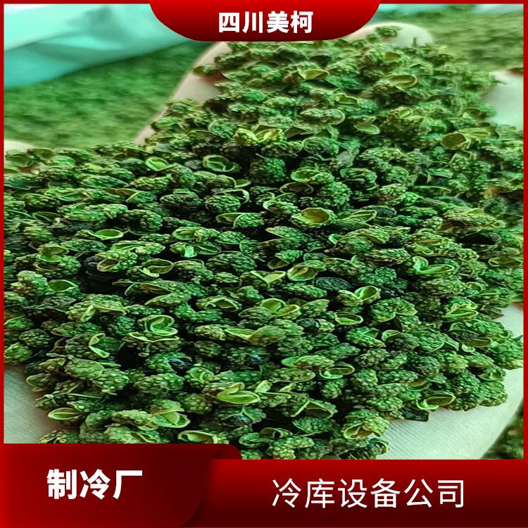 納溪冷鏈凍庫(kù)安裝 綿竹冷鏈凍庫(kù)價(jià)格 蔬菜