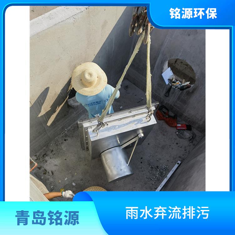 南京防倒灌裝置控源截污 自控截污裝置