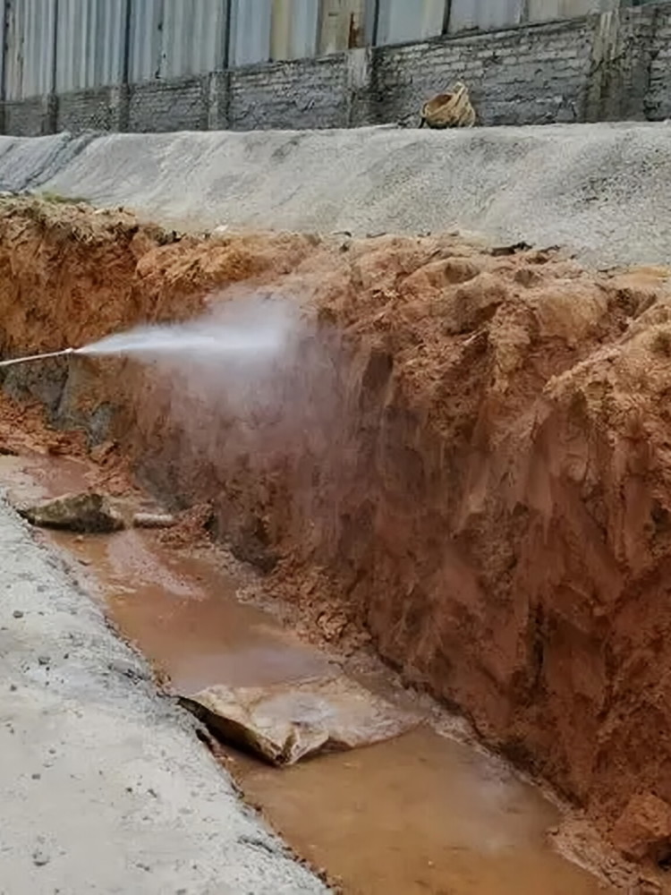 板芙小区白蚁防治