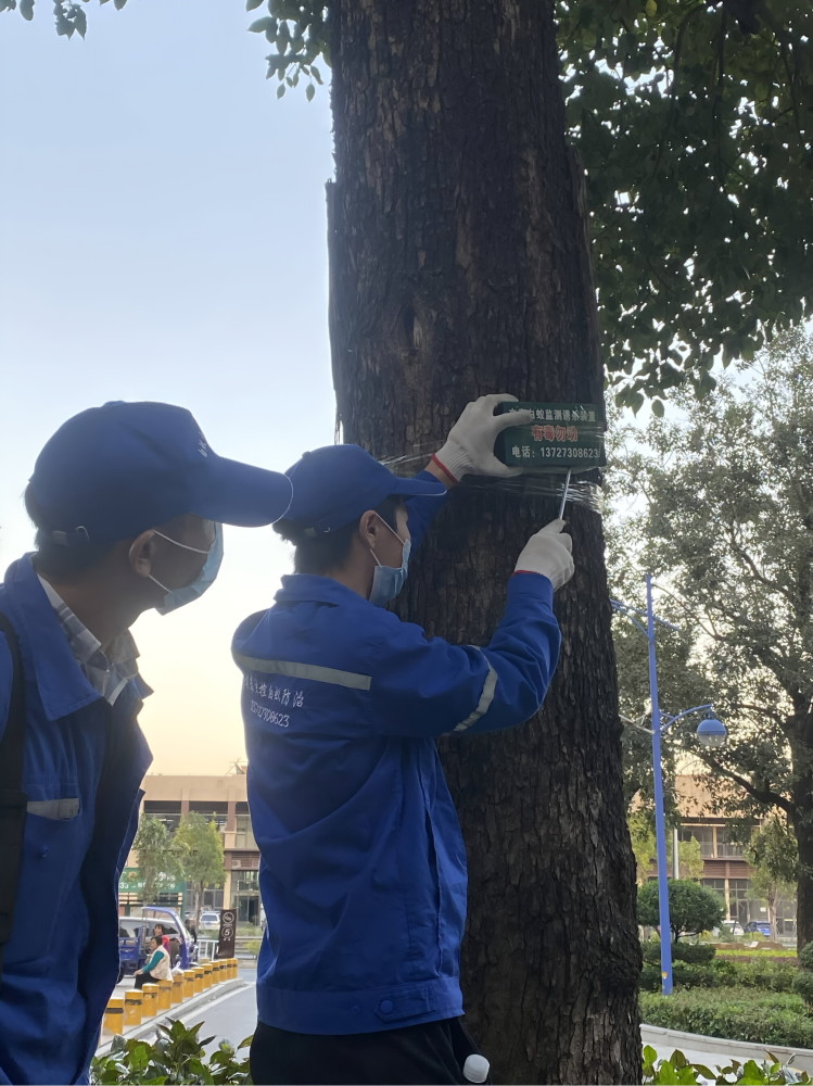 港口住宅除白蚁电话